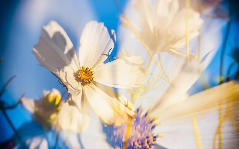 怎样挽回出轨的老公，用对方法，重建婚姻感情