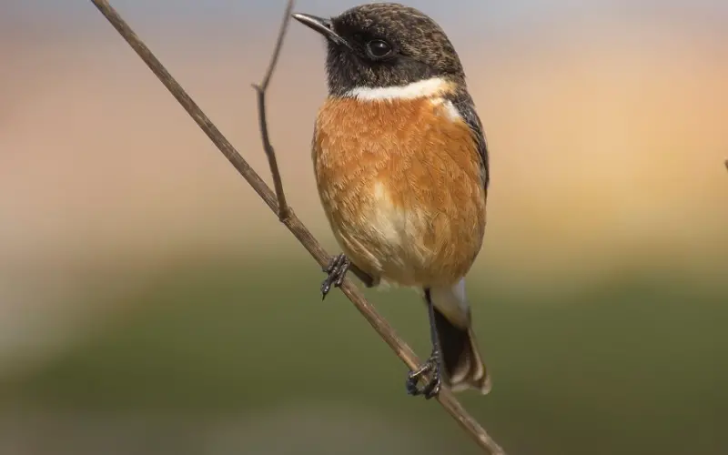 死心的老公怎么挽回：老公失望坚决要离婚，该怎么挽回老公