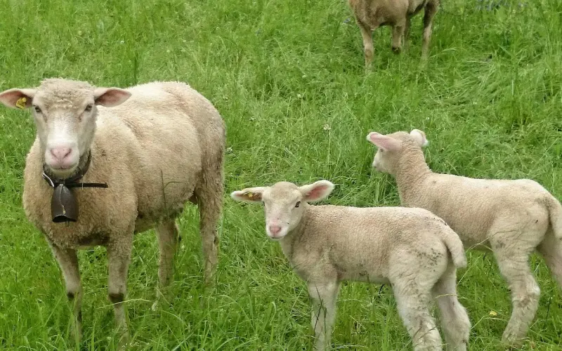 如何挽回双子座男人：这3条法则屡试不爽，让双子男对你死心塌地