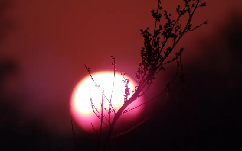 伤透心的老公怎么挽回？这三招挽回老公一针见血