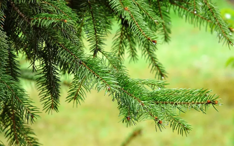 怎么挽回男人心，情感专家教你轻松搞定