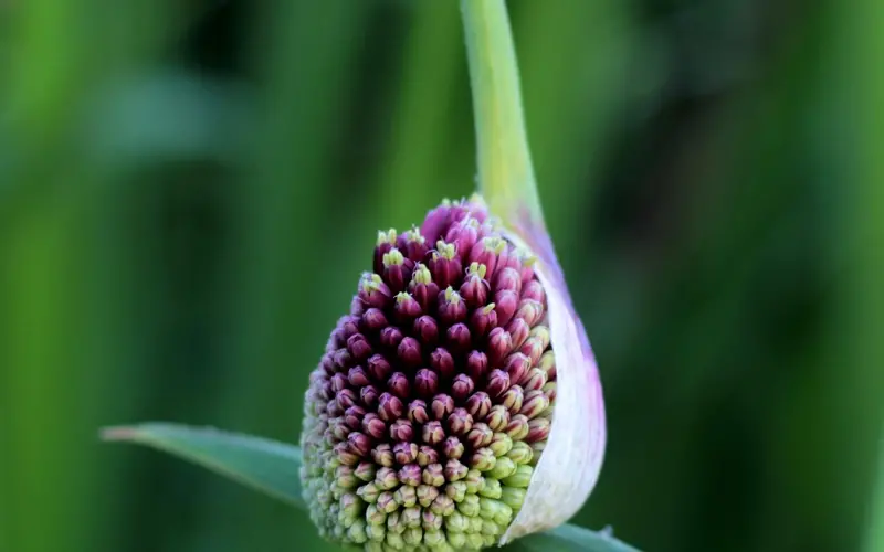 用什么办法可以挽回男人心