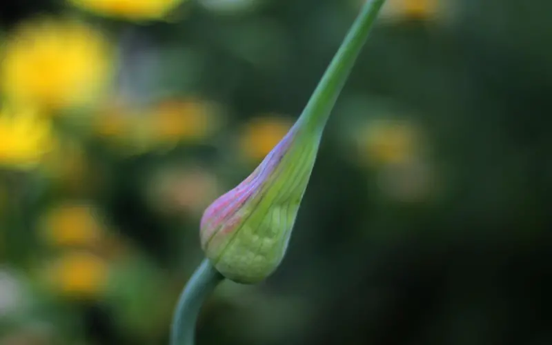 用什么办法可以挽回男人心