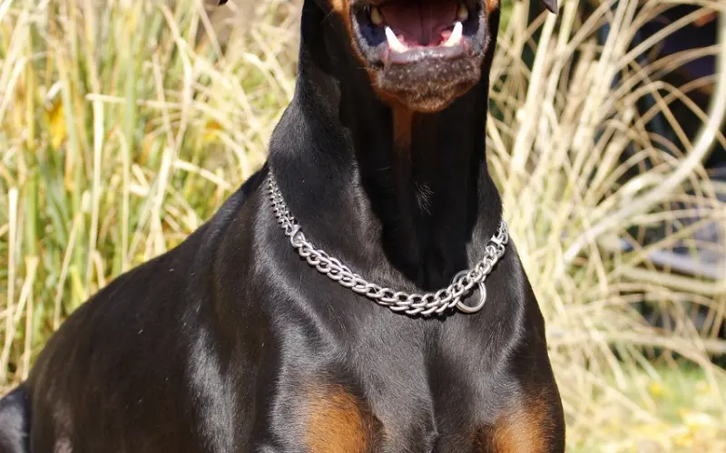 如何挽回伤心的老公：对婚姻彻底失去信心？这三步教你挽回