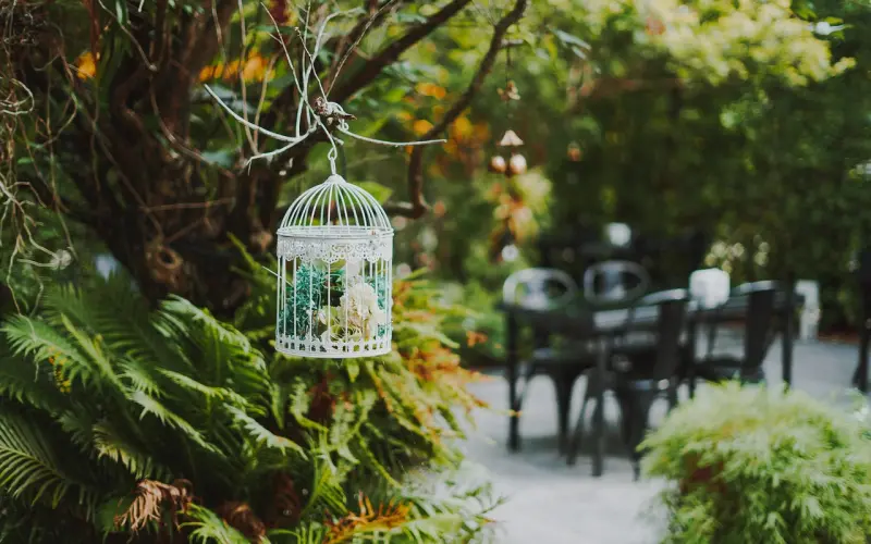 挽回天蝎座，如何挽回理性的天蝎座男朋友