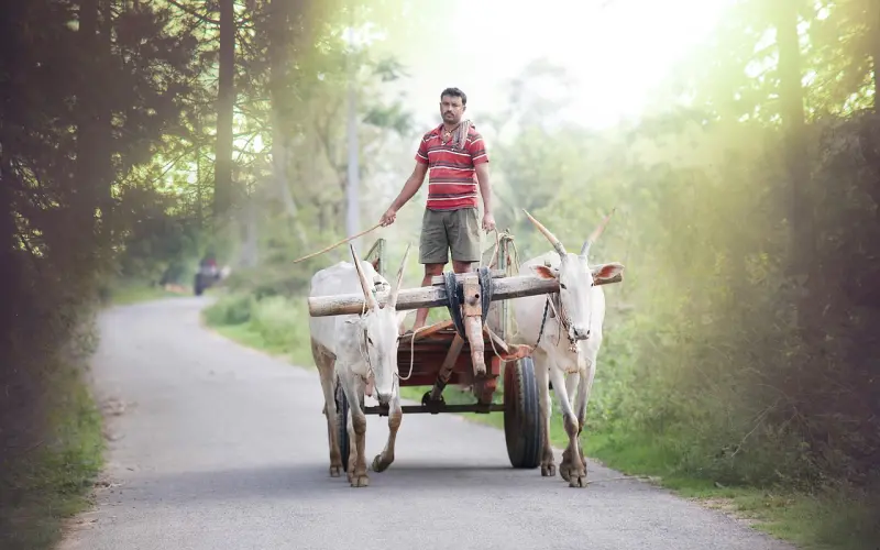 怎么挽回金牛座男友？金牛男们分手非常决绝，该这样挽回