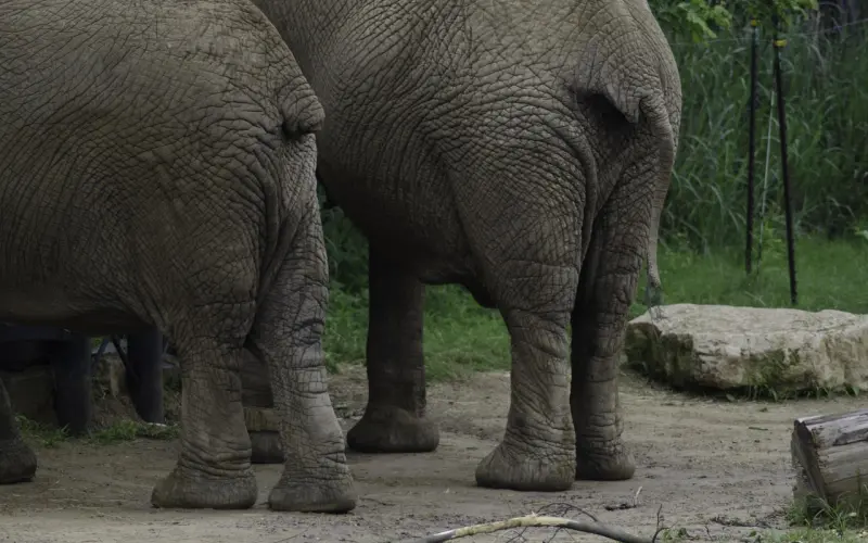 如何挽回双子座老公，老公对我彻底死心，我不想结束婚姻该怎么挽回？