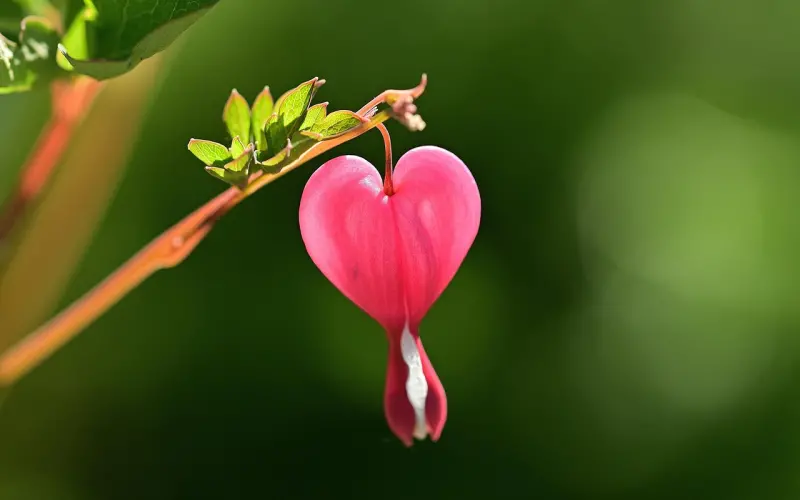 老公出轨了该怎么挽回他的心