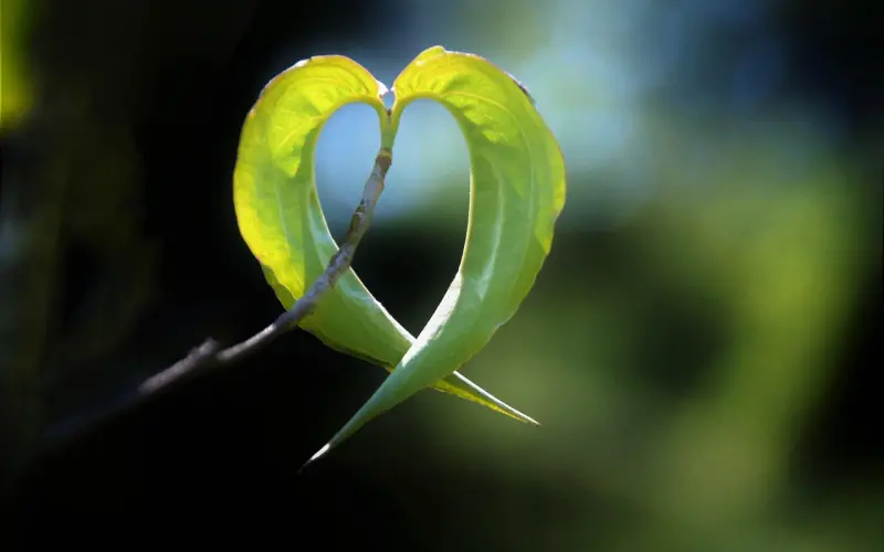 该怎么挽回绝情男友的心