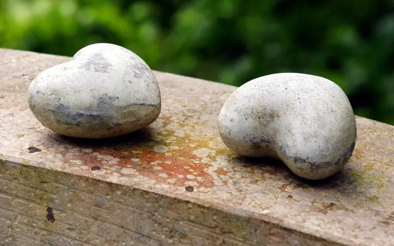 怎样挽回对方的心