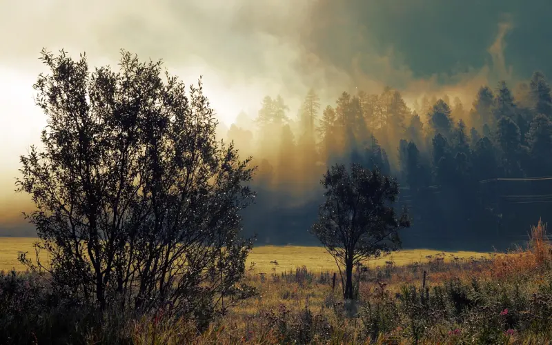 如何在分手初期挽回男友