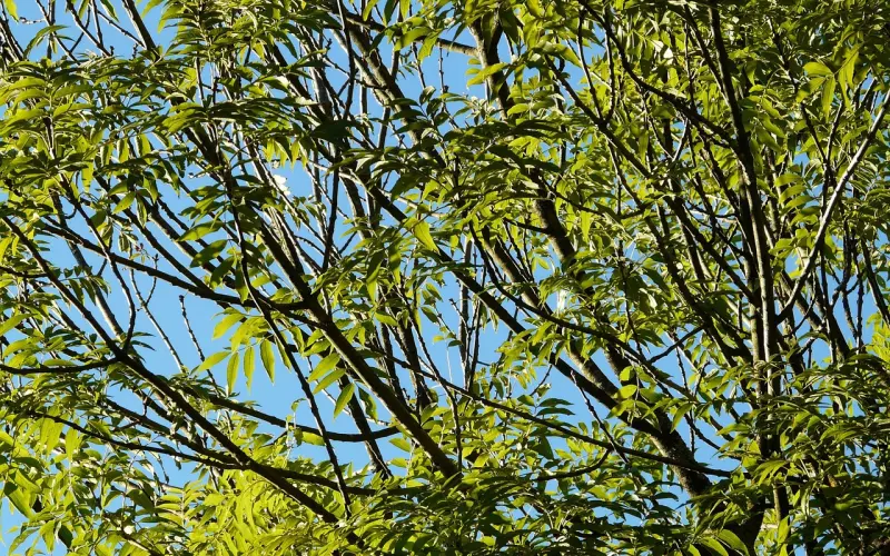 如何事半功倍的挽回男友，分手后的复合方法