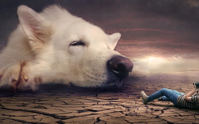 如何挽回男朋友：让男人永远爱你的秘诀,保持女人的神秘感