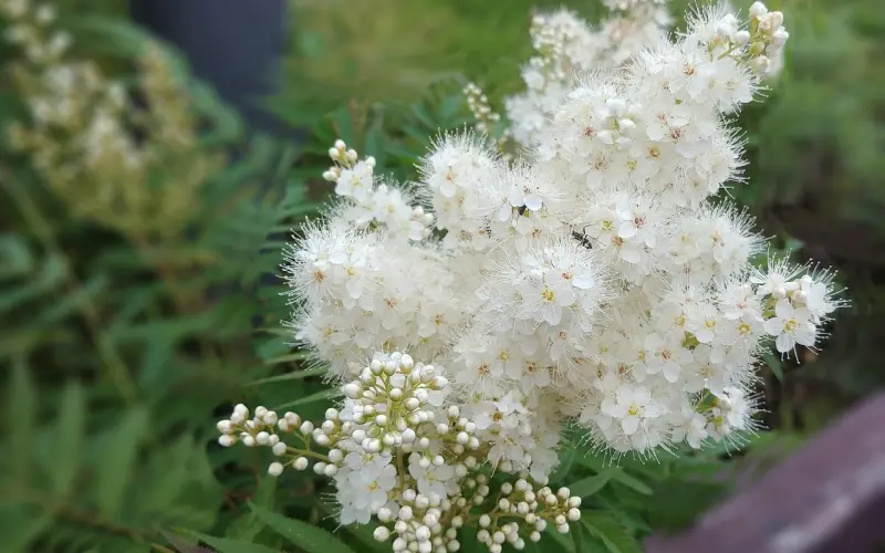 怎么挽回男友？爱情之中，考验的是两个人的真挚情感