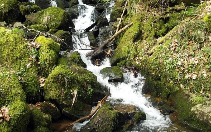 挽回男友方法：余生也要好好在一起