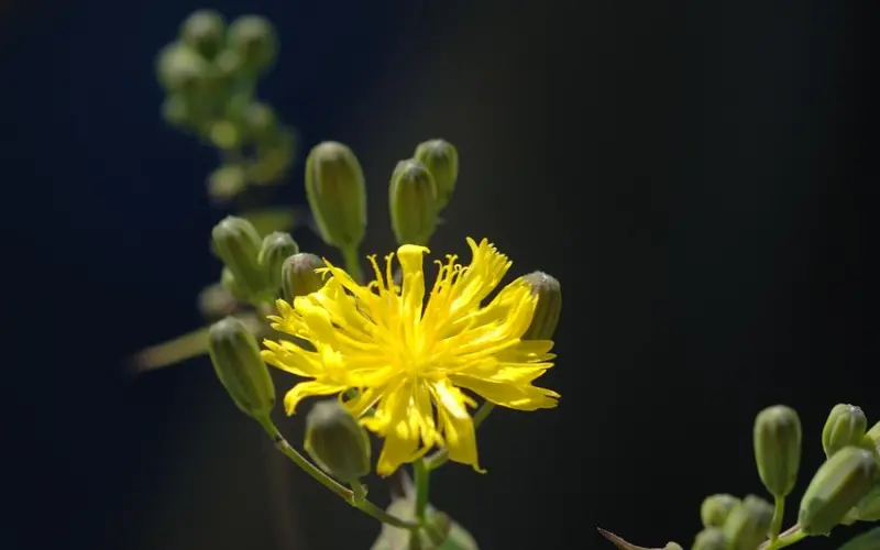 分手怎样挽回男朋友？这样挽回爱情，当初他再决绝都能回头！