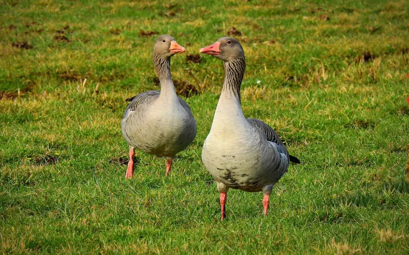 21天挽回男友？教你三招轻松搞定他