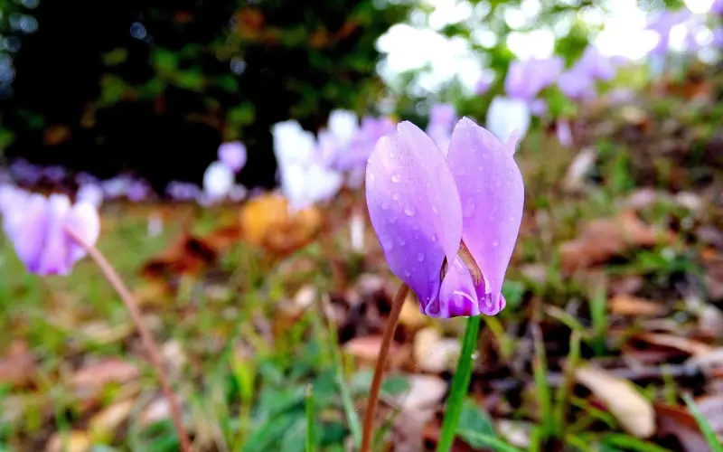 怎么挽回男朋友，分手后没联系怎么挽回男友