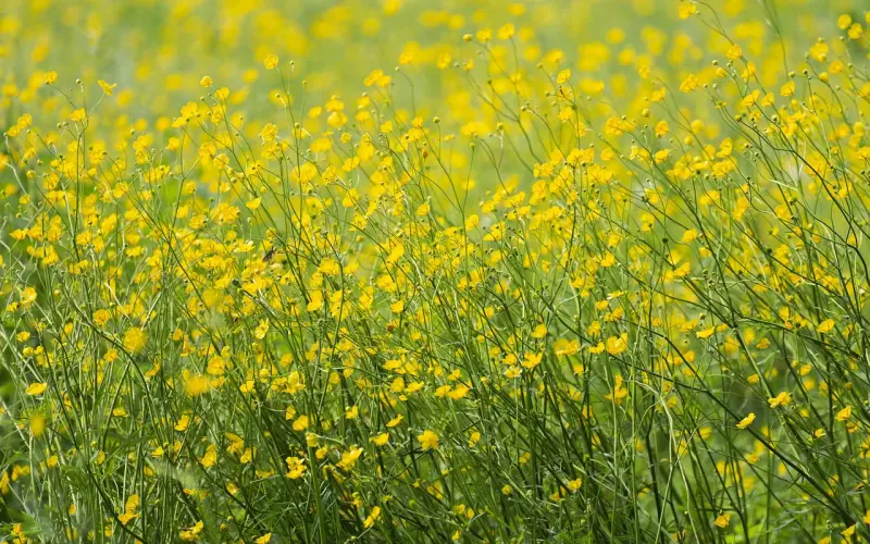 异地恋怎样挽回男朋友？4个有效方法帮你重拾爱情