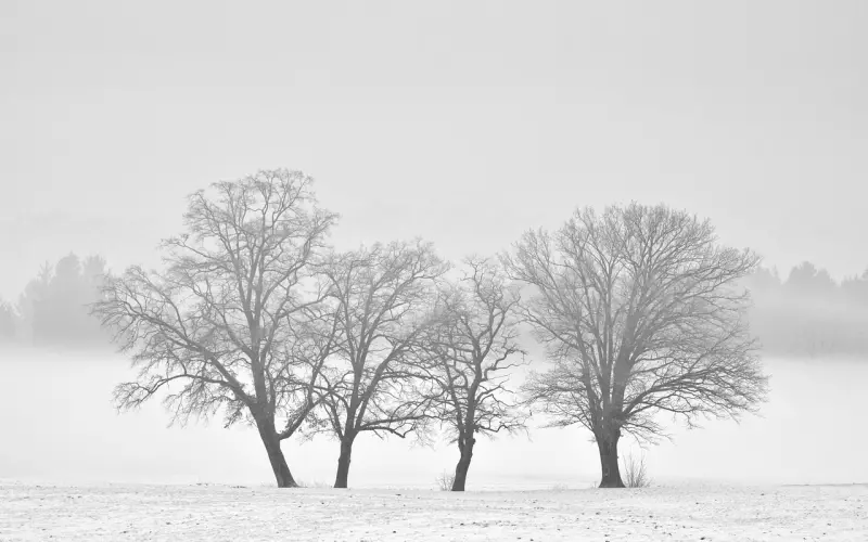 分手初期如何挽回男友？