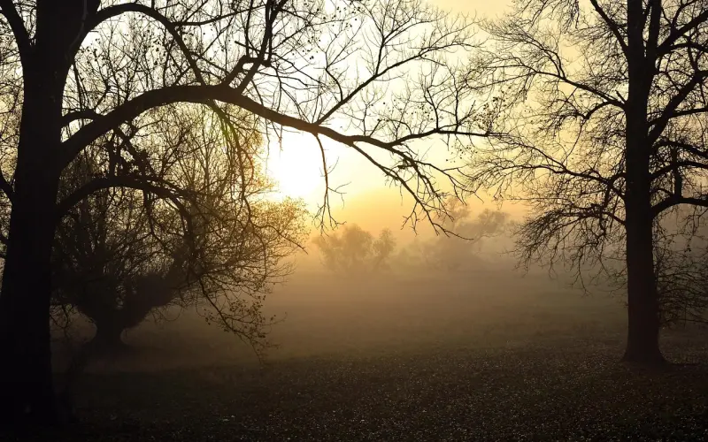 分手初期如何挽回男友的心？