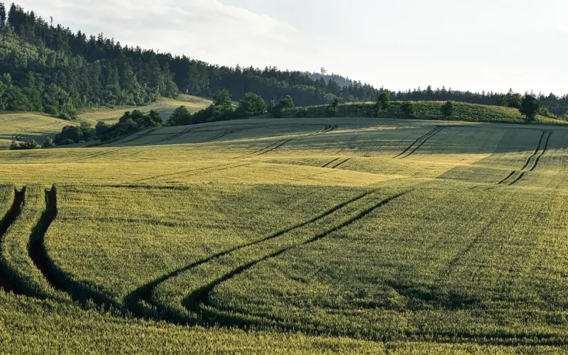 在他人生低谷期提了分手 如何挽回男友的心？