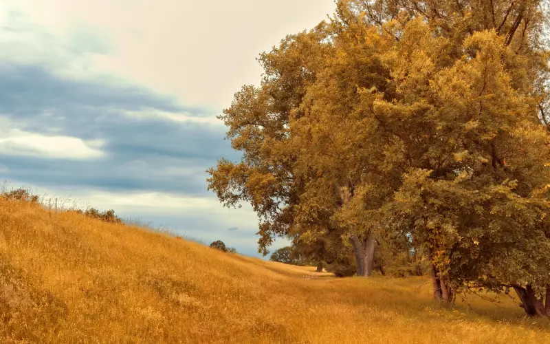 挽回男友之分手后如何给对方留下好印象？