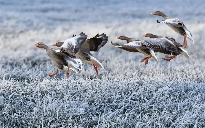 分手后怎么挽回男友，三点和好的方法