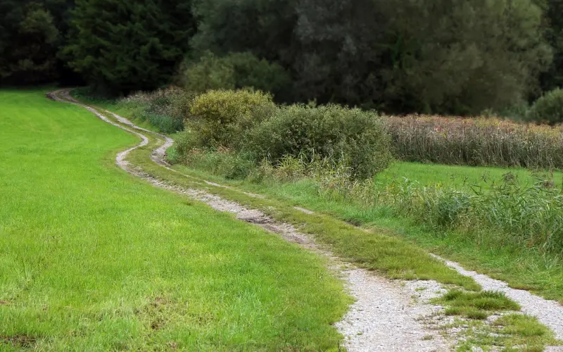 出轨老公的老公如何挽回：用对方法让他主动回到你身边