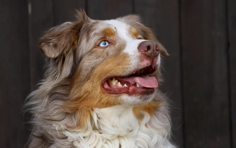 如何挽回前任男友，挽回男友的三种方法