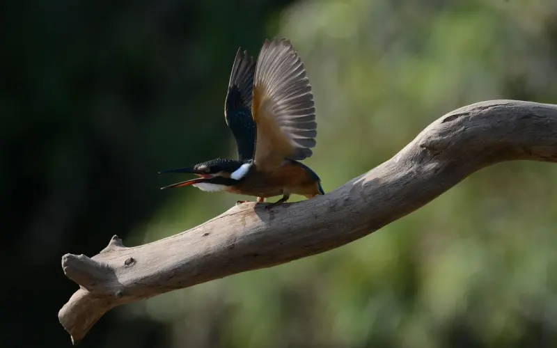 河南分手怎么挽回前男友？情感专家教你成功复合的技巧！