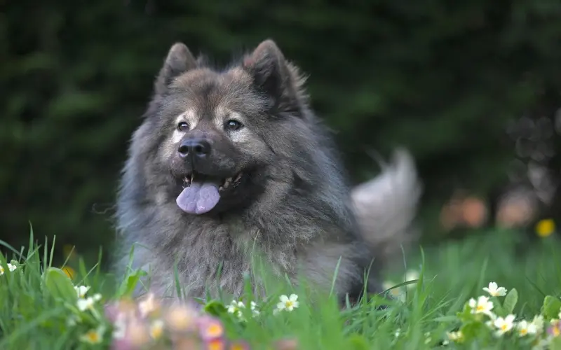 分手后放不下怎么挽回前男友