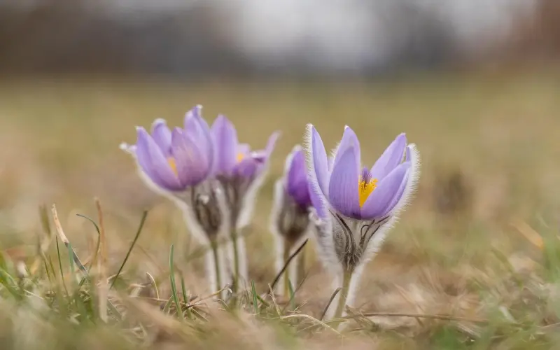 怎样挽回前任【下】