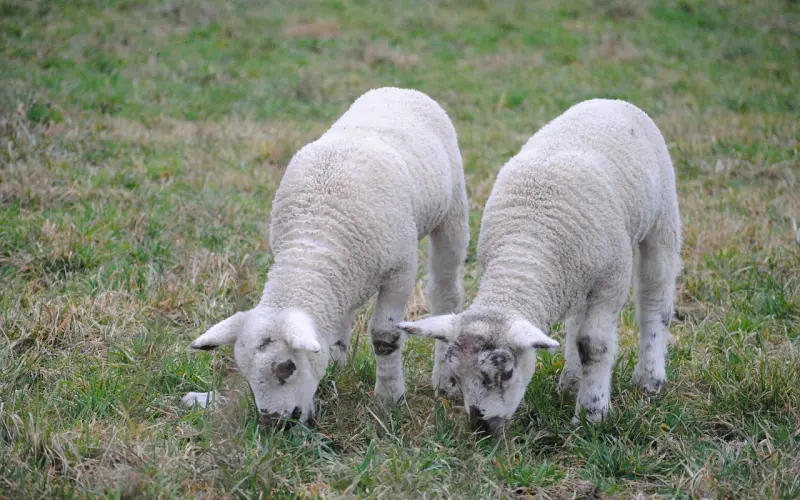 挽回双子男友方法：学会技巧，让他对你死心踏地