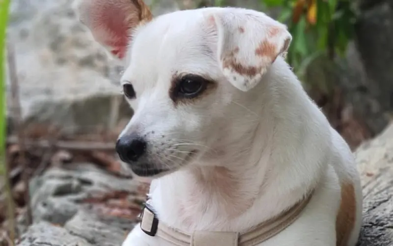 挽回女友的方法，教你怎么挽回死心的女友