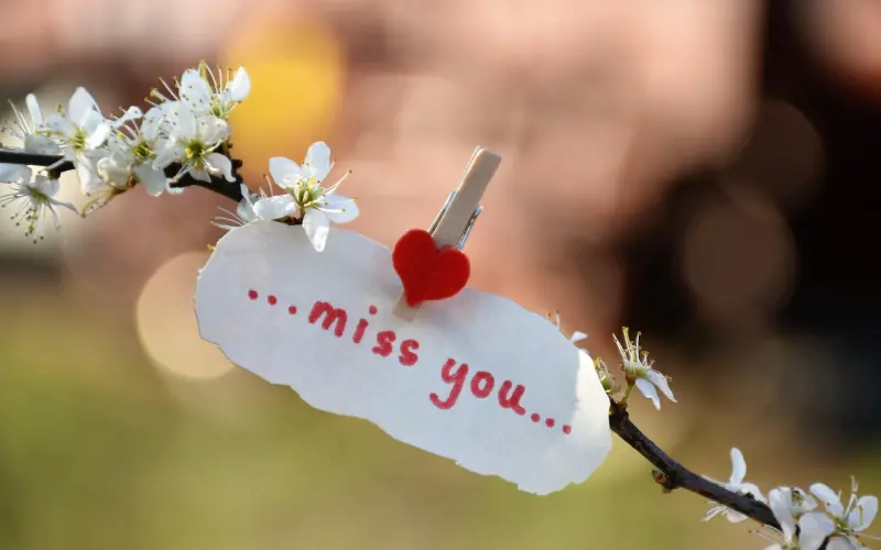 失恋了该怎么挽回女朋友