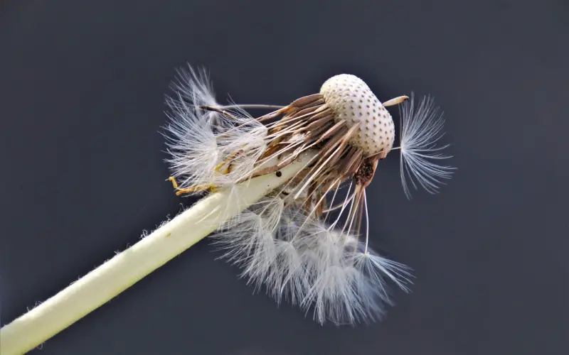 怎么挽回女友：情感挽回导师一对一教你挽回女友的话怎么说？