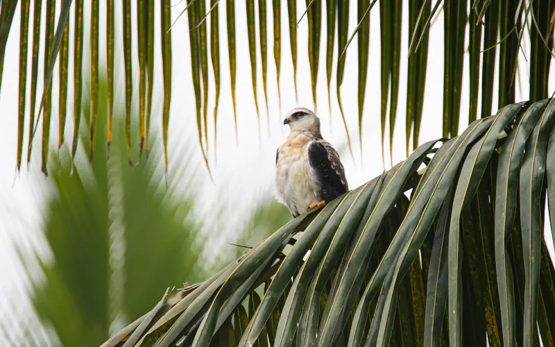 怎么挽回老公：夫妻争吵不断的挽回婚姻攻略