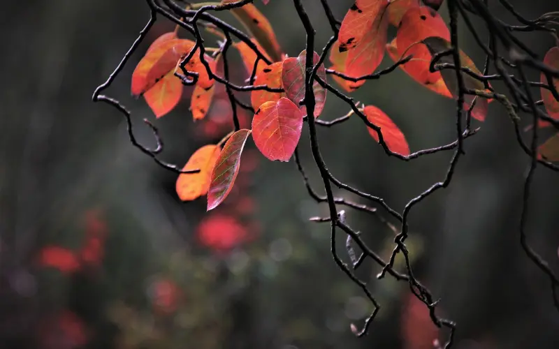 怎么挽回老公：跟老公吵架冷战分居，该怎么挽回老公的心