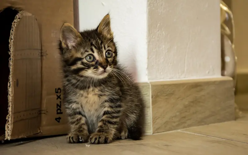 老公心走远了怎么挽回：老公心不在家还有挽回的必要吗？