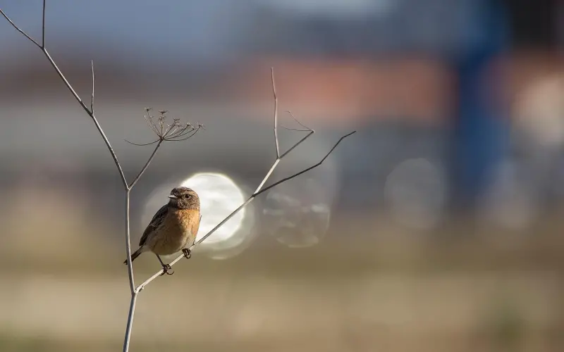 怎么挽回老公的心：老公失望了坚决要离婚，该怎么挽回老公