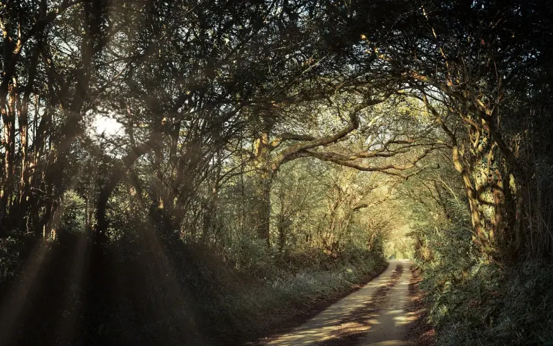 老公离婚该怎么挽回：老公喜欢别人坚持要离婚，该怎么挽回老公的心