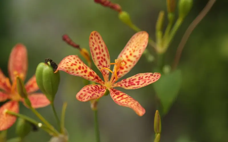 怎么挽回老公：夫妻之间没有信任了，该怎么缓和夫妻之间的矛盾