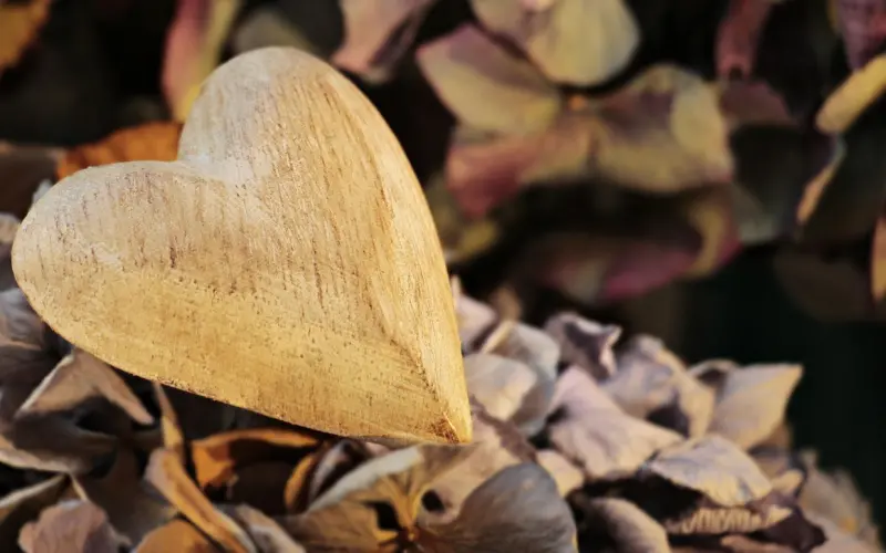 如何挽回老公的心：在感情关系中老公伤透心还能挽回吗？