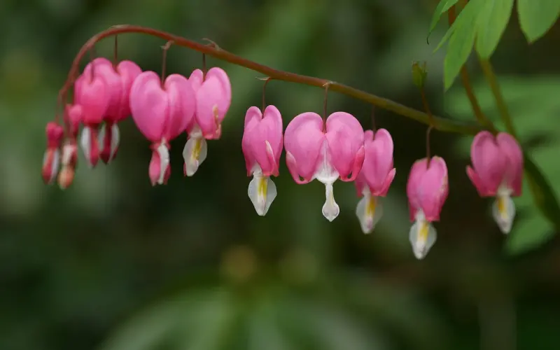 妻子出轨后如何挽回老公的心？5个有效方法帮你重建信任