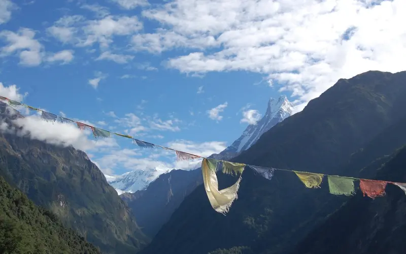 如何挽回精神出轨后的老婆？教你让感情重回正轨！