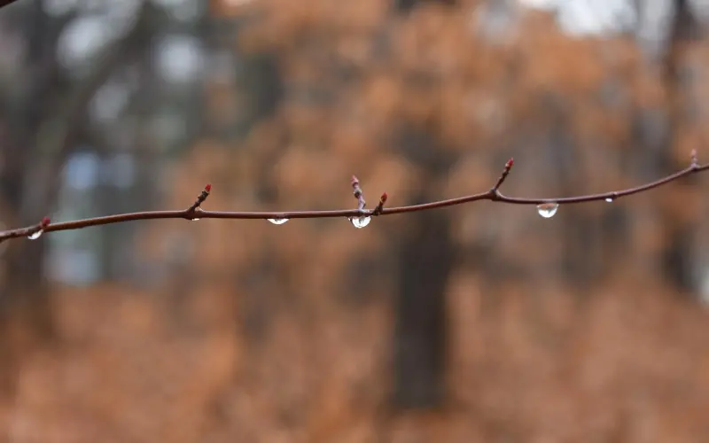 和男友吵过之后如果挽回短信要怎么写