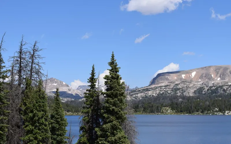 挽回女友的信该怎么写最有效果