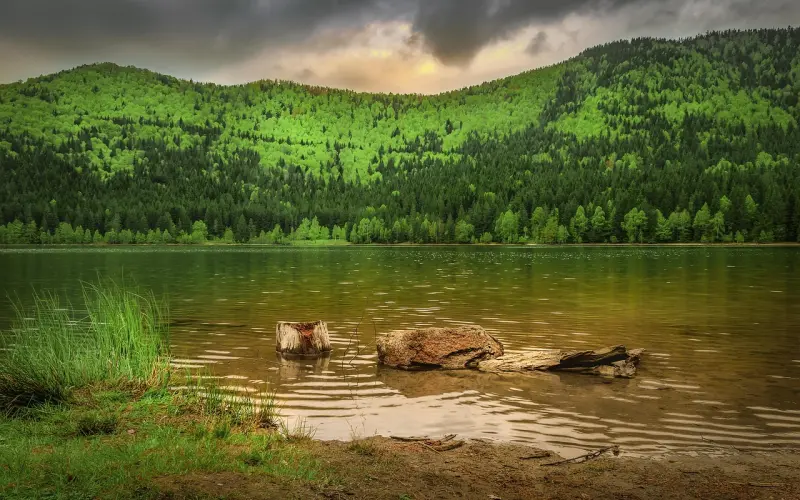 你对你的爱人了解多少？