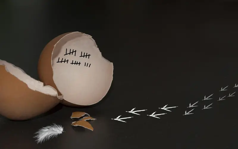 女生喜欢一个男生会怎么暗示